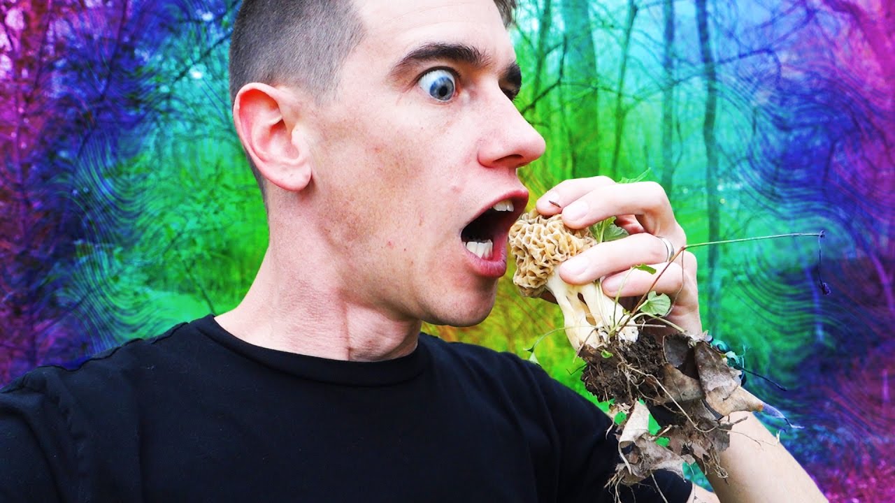Person holding and about to eat a fresh foraged mushroom with vibrant psychedelic background.