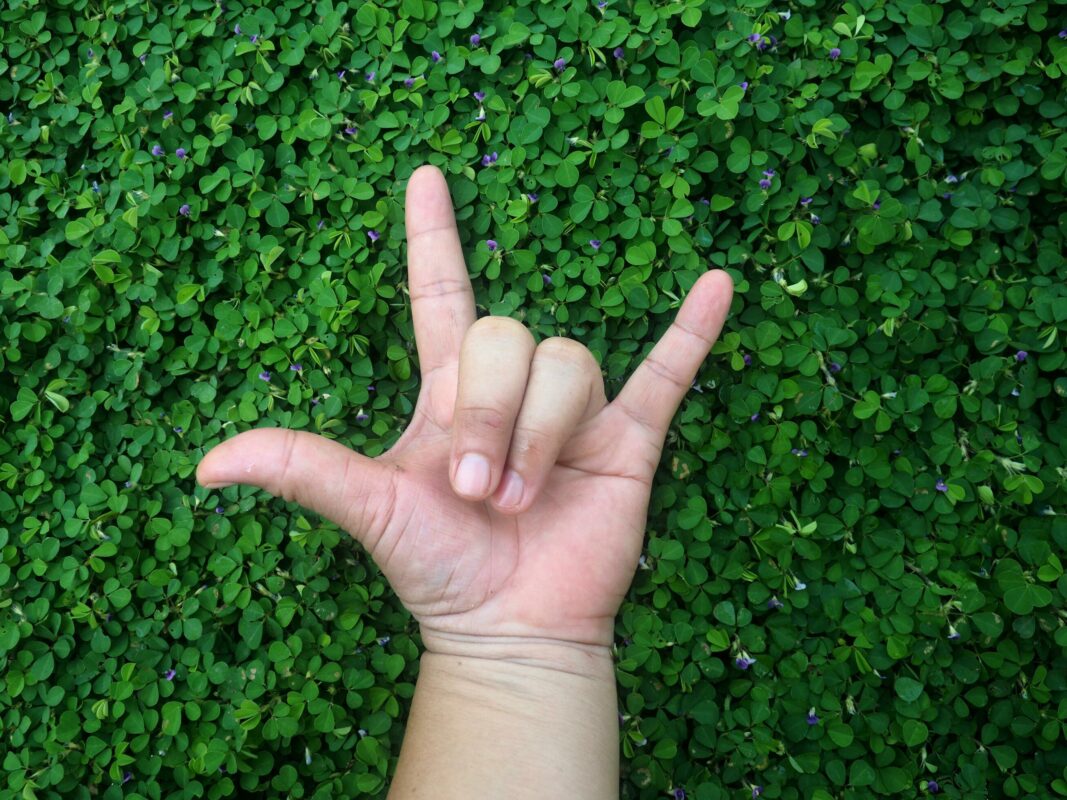 Hand making "I love you" ASL sign over green clover with purple flowers