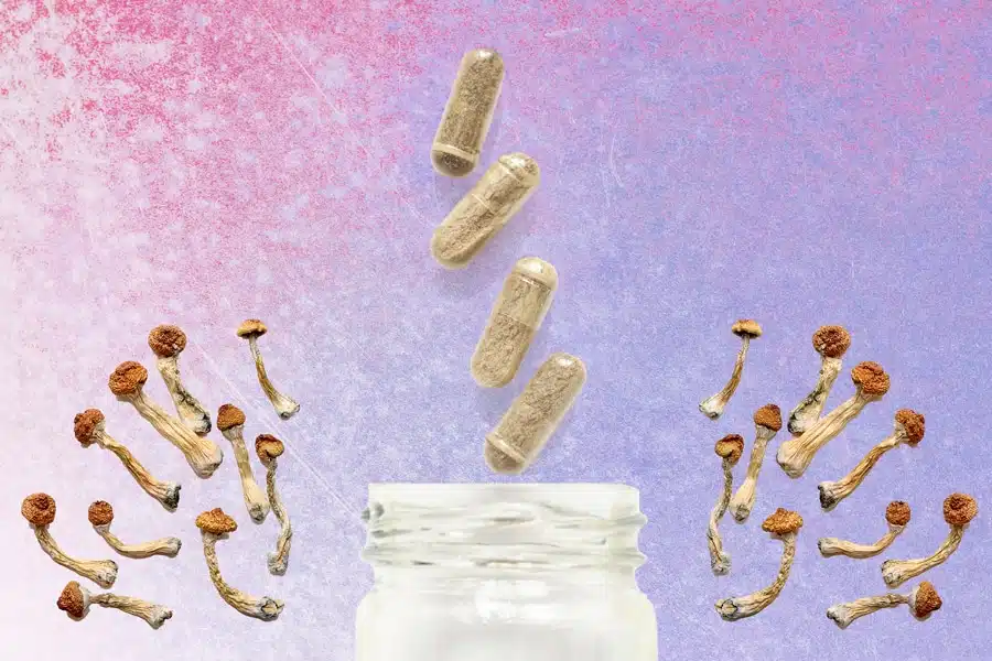 Microdosing capsules and dried psilocybin mushrooms spilling from a jar against a pastel gradient background.